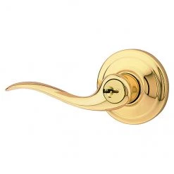 "Toluca" Entrance Lever